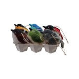 Bird in Egg Crate Ornament Set