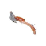 Feather Bird Clip On
