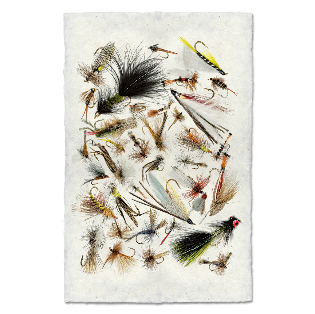 Fishing Fly Prints