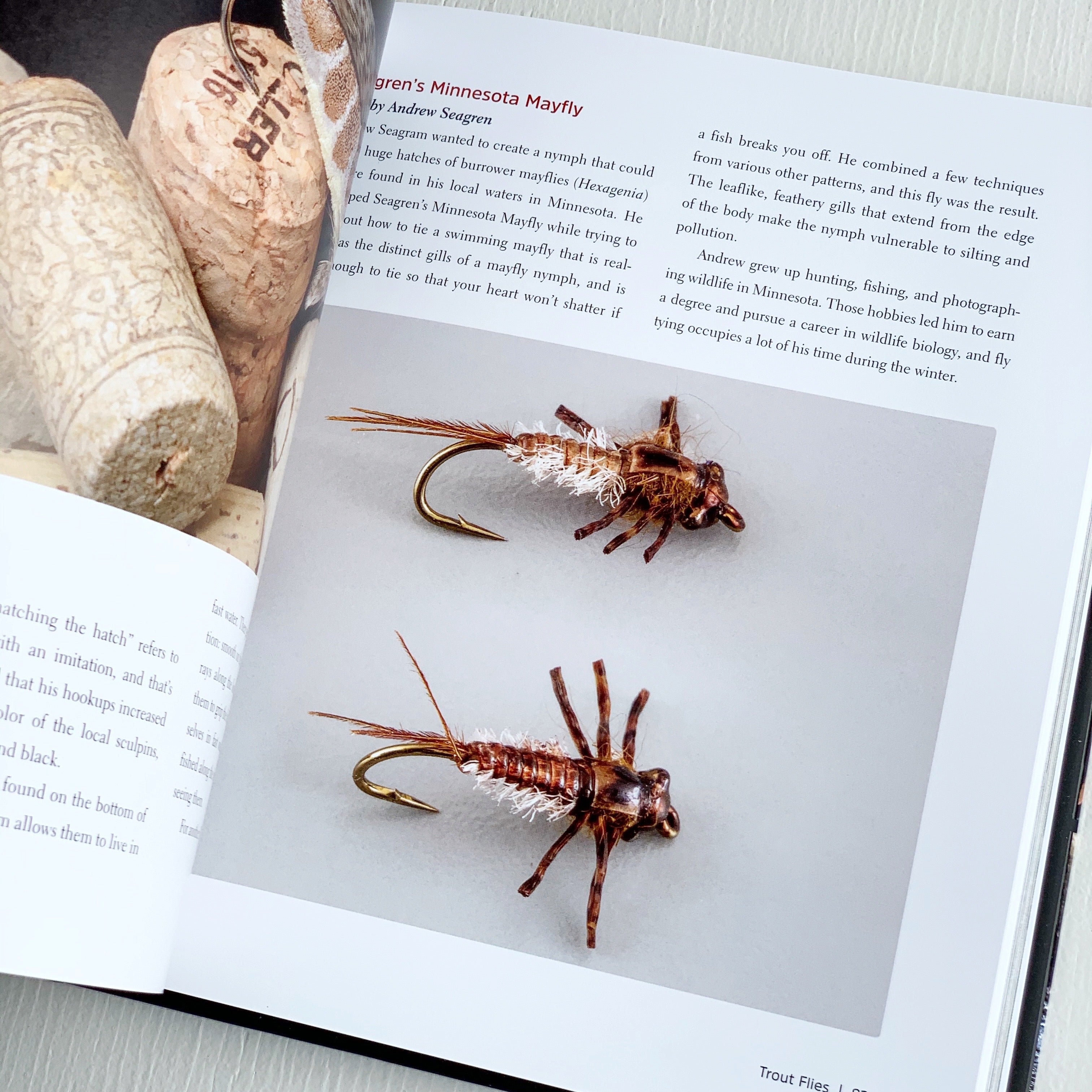 The Art of Fly Fishings