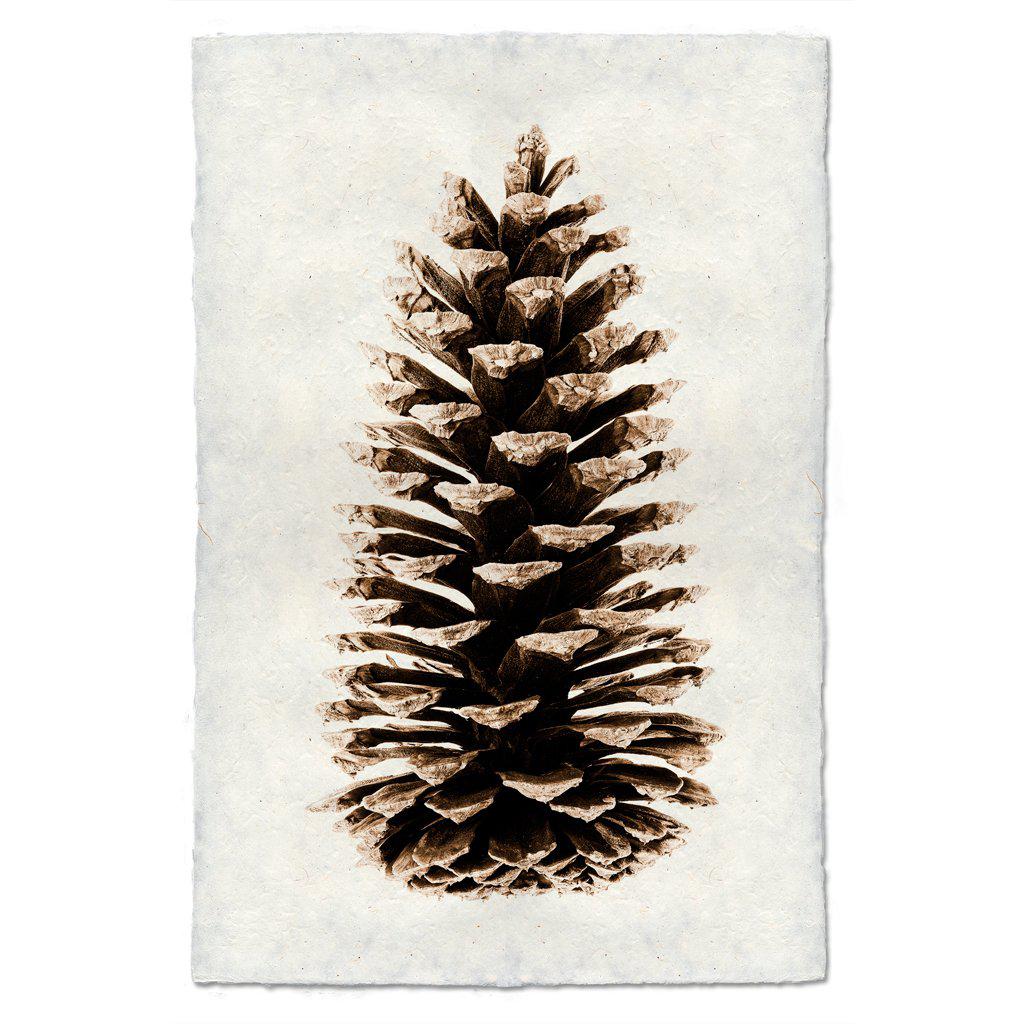 Pinecone Prints