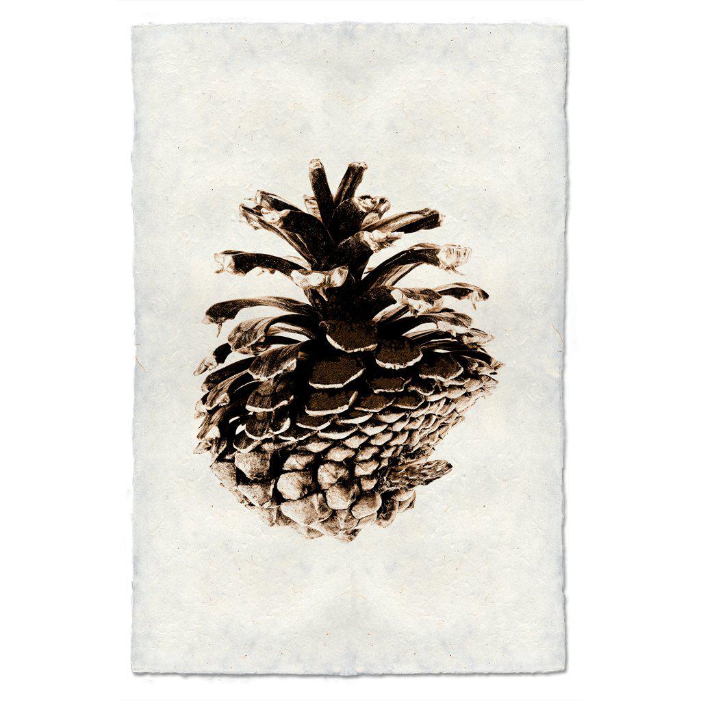 Pinecone Prints