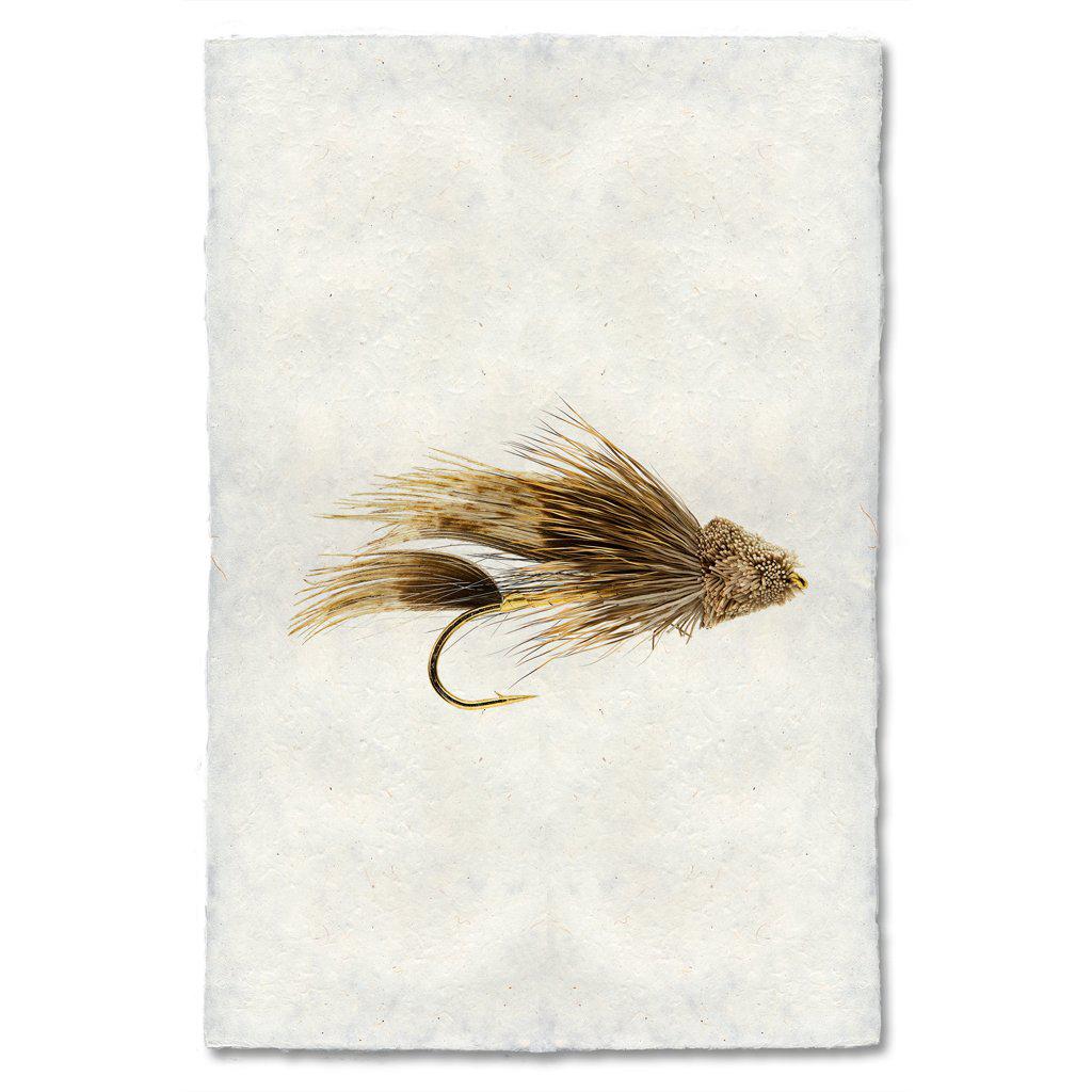 Fishing Fly Prints