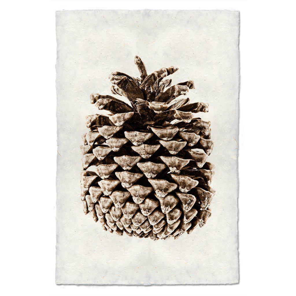 Pinecone Prints