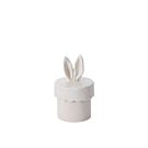 Bunny top Canister