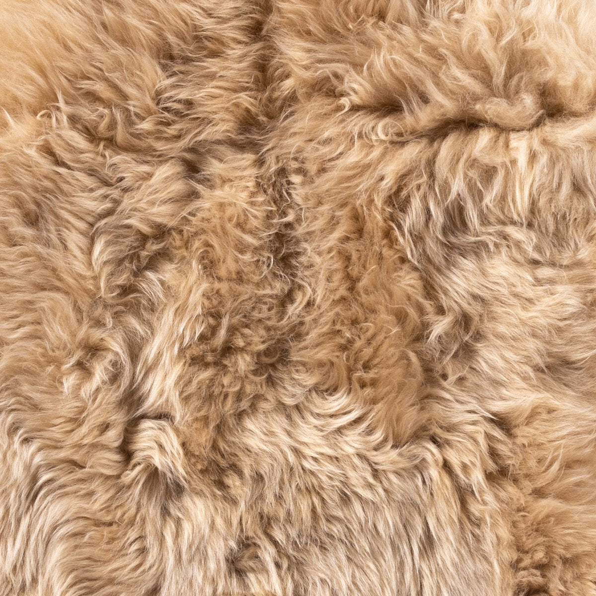 Lamb Rug