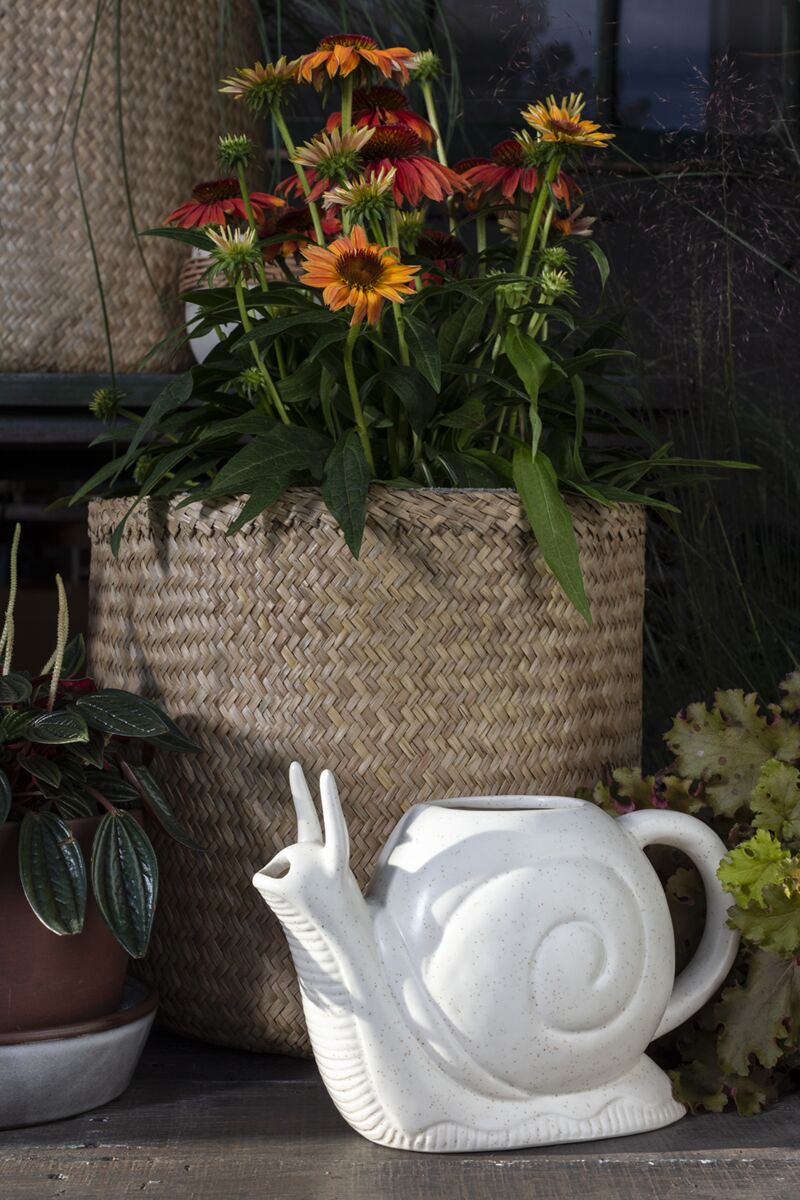 Ceramic Snail Watering Can