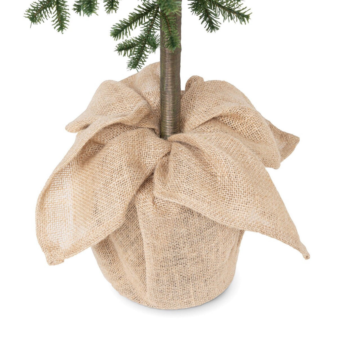 XM 60" Noble Fir Tree w/ Lights