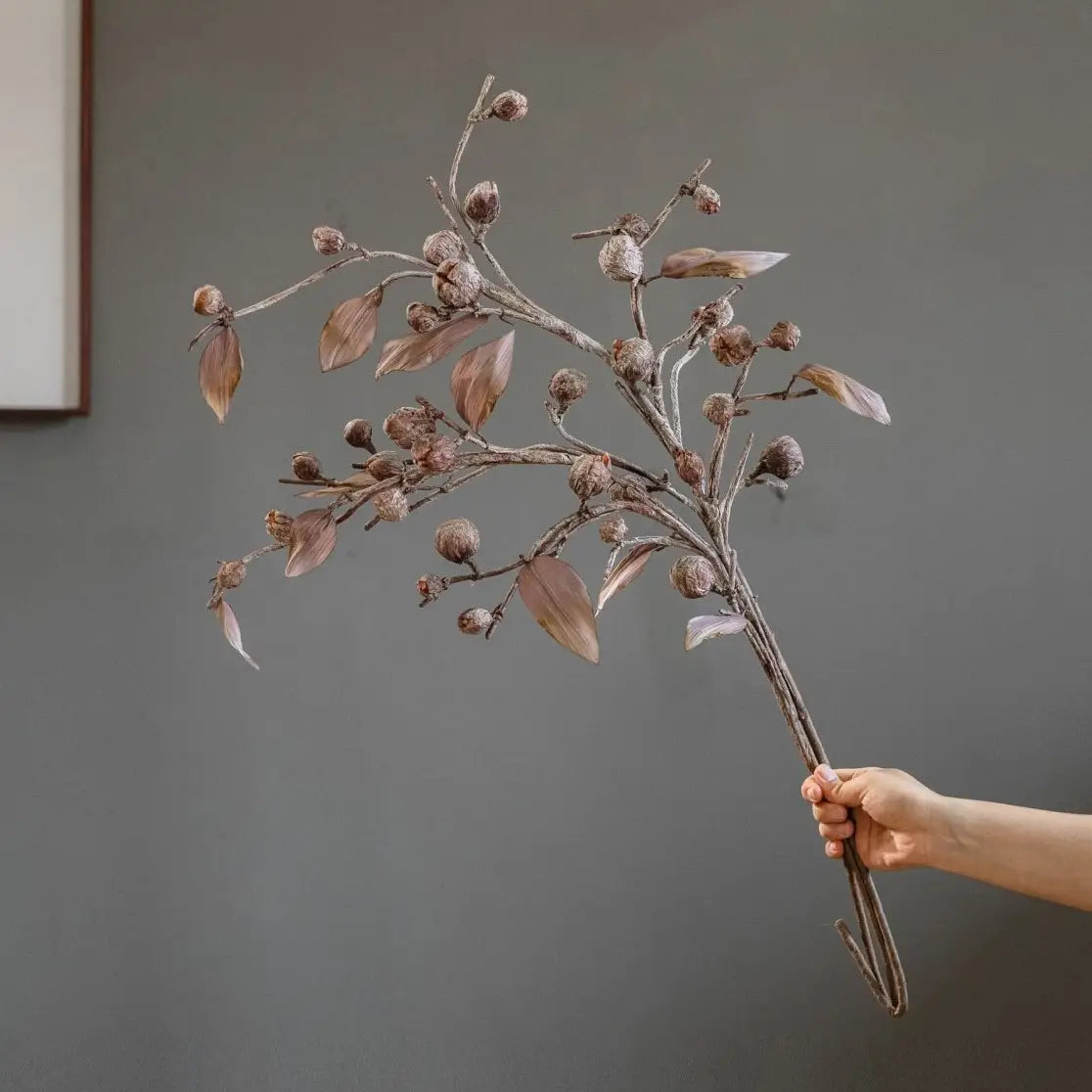 Brown Pod Branch