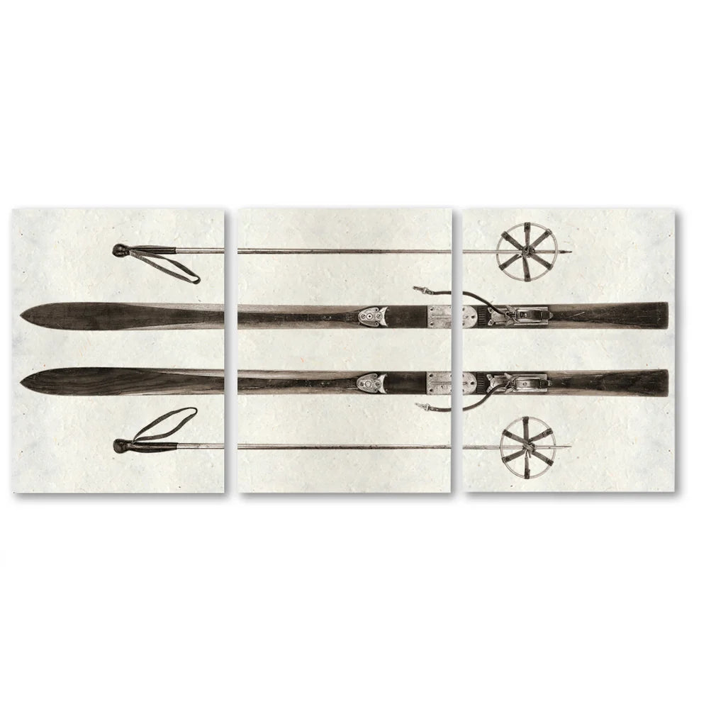 Alpine Skis Triptych Print