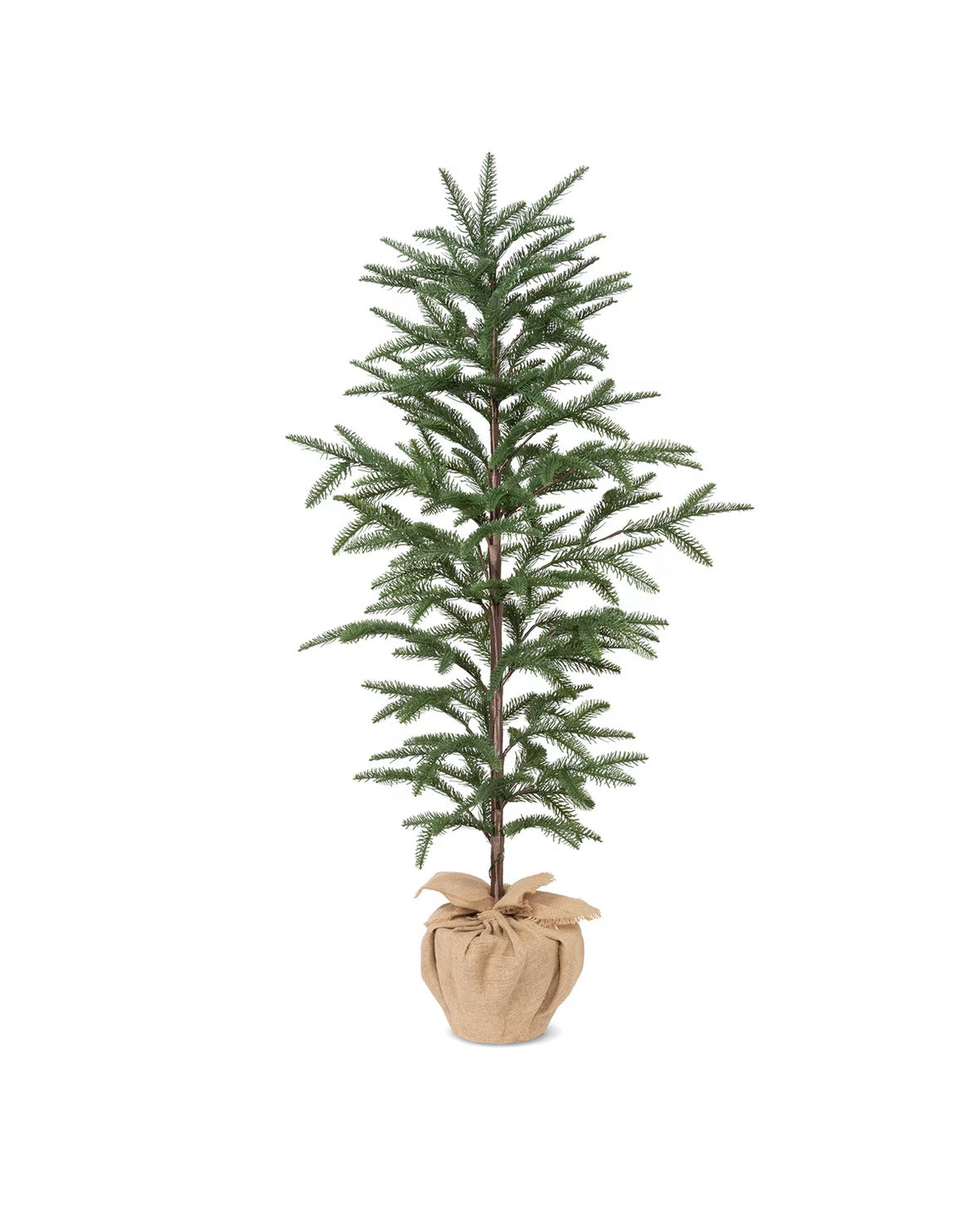 XM 60" Noble Fir Tree w/ Lights