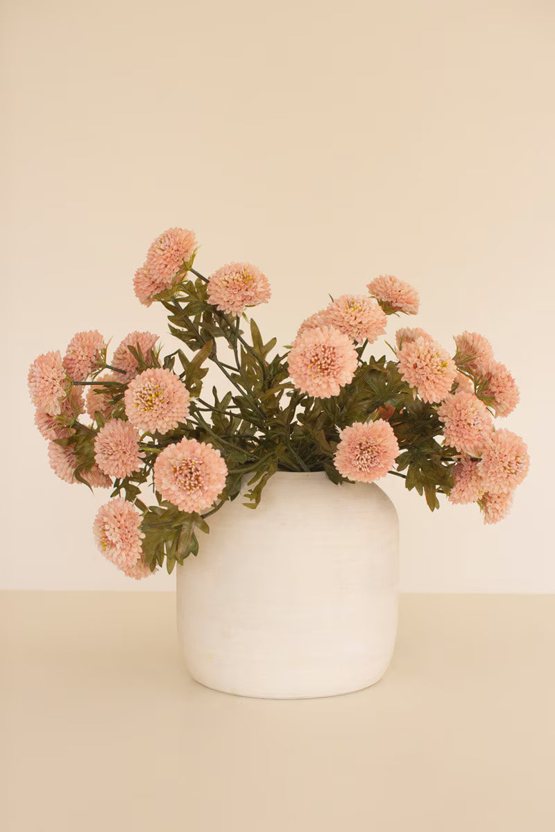 Ball Dahlias Stem