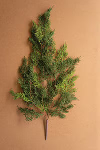 Cedar Spray Stem
