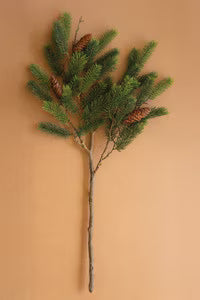 Fir Spray With Cones