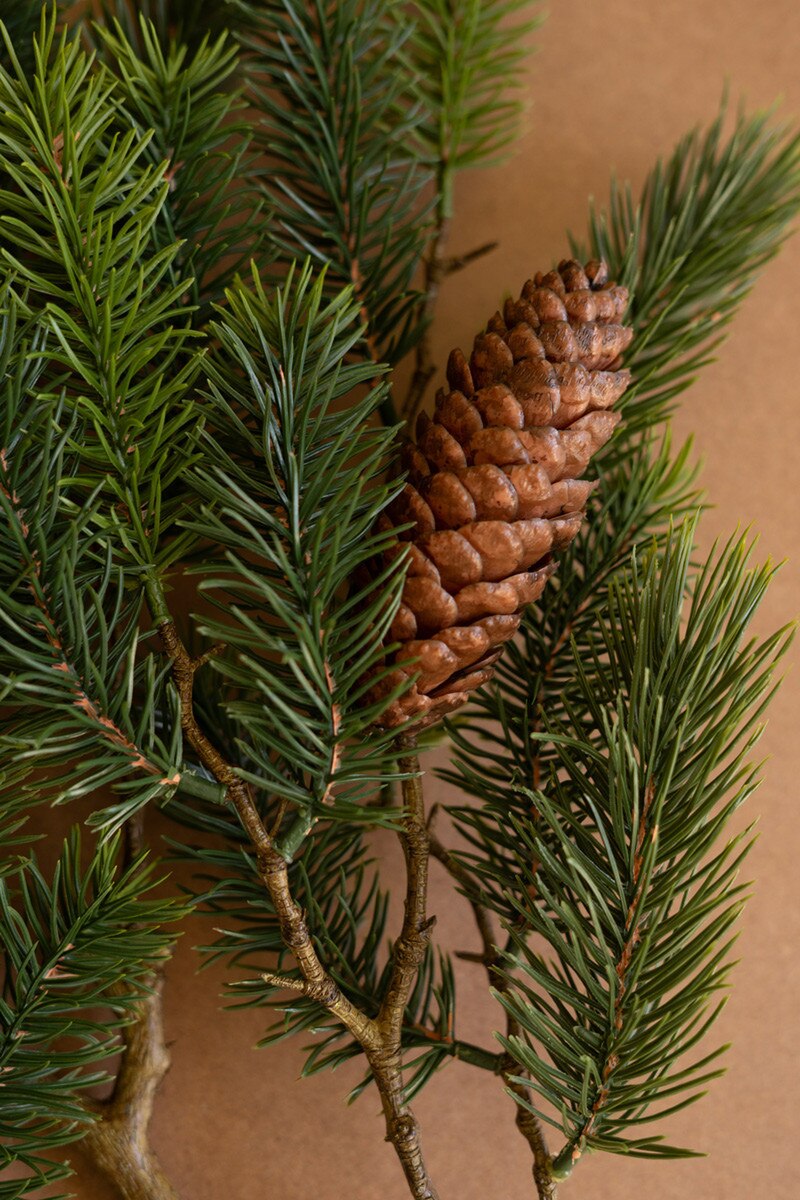 Fir Spray With Cones