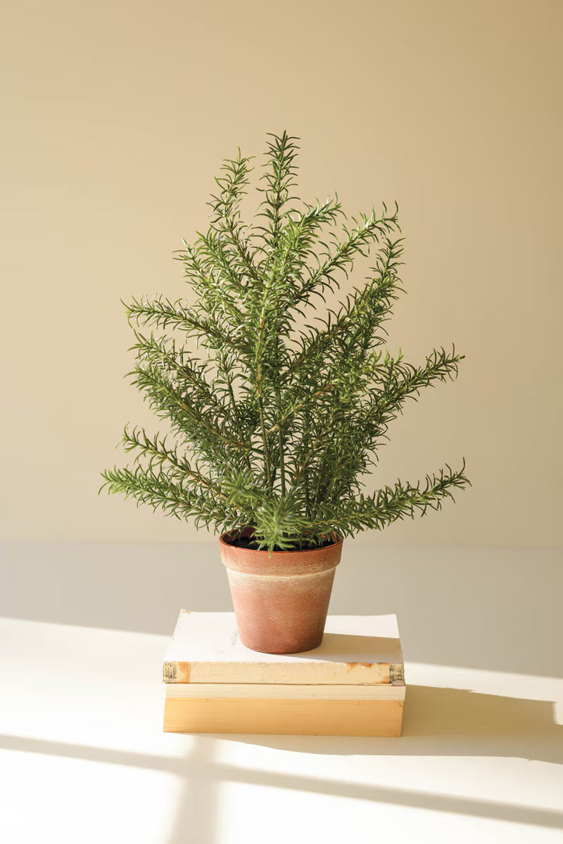 Artificial Rosemary Plant