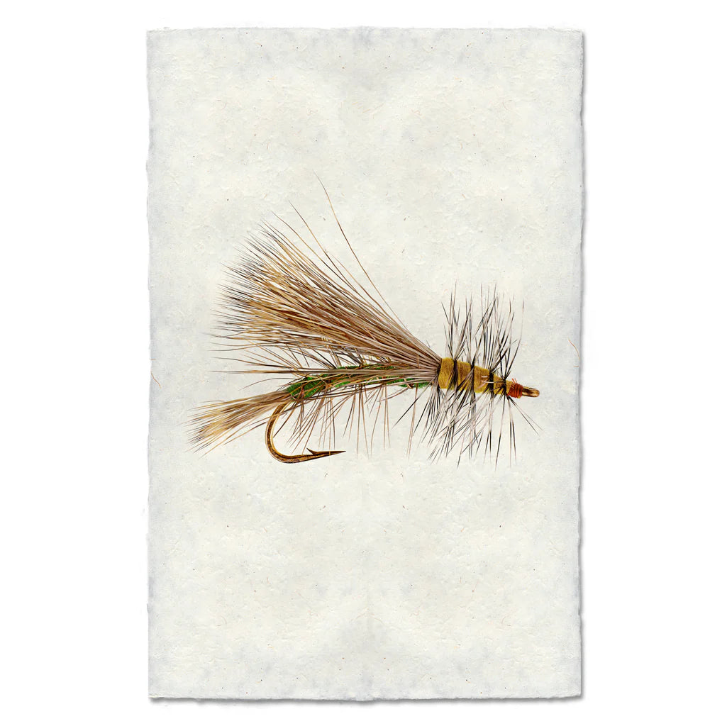 Fishing Fly Prints