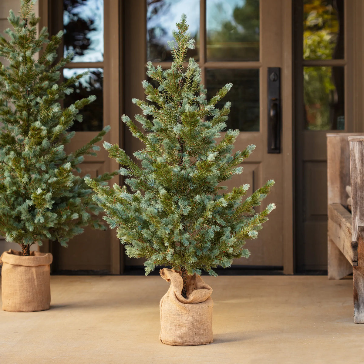 XM Blue Sprue Faux Tree