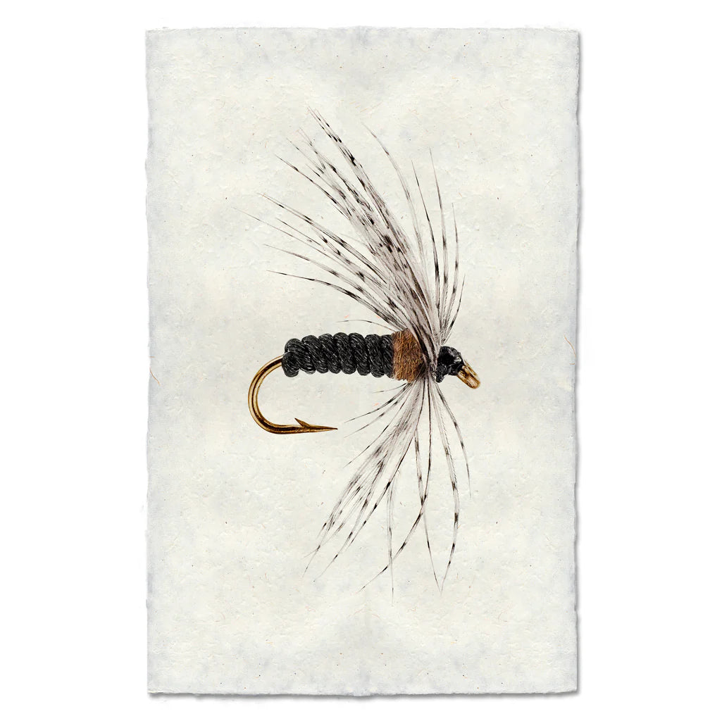 Fishing Fly Prints