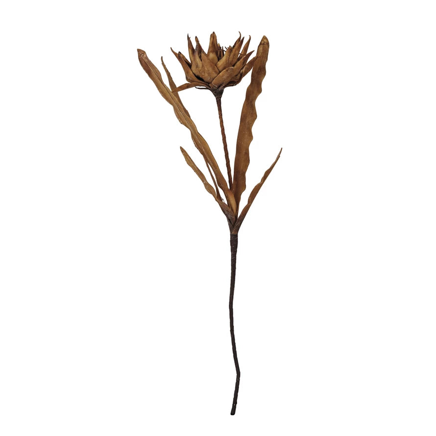 Dried Sunflower