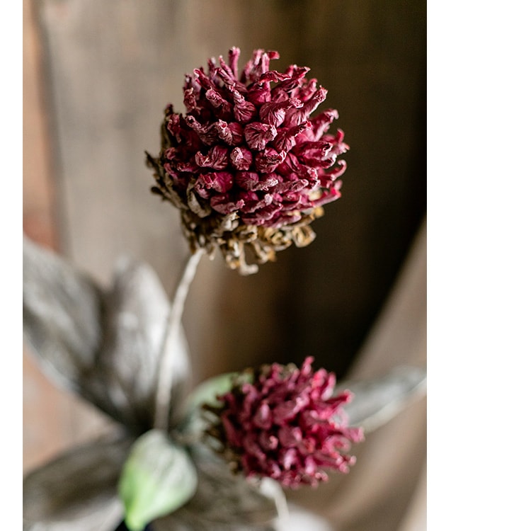 Mulan Thistle Stem