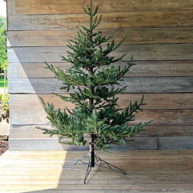 XM 7.5' Noble Fir Tree