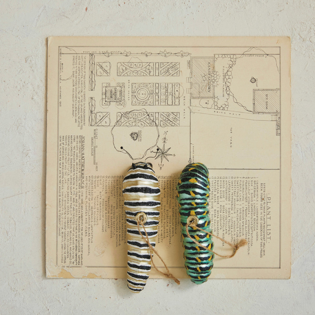 XM Caterpillar Ornament
