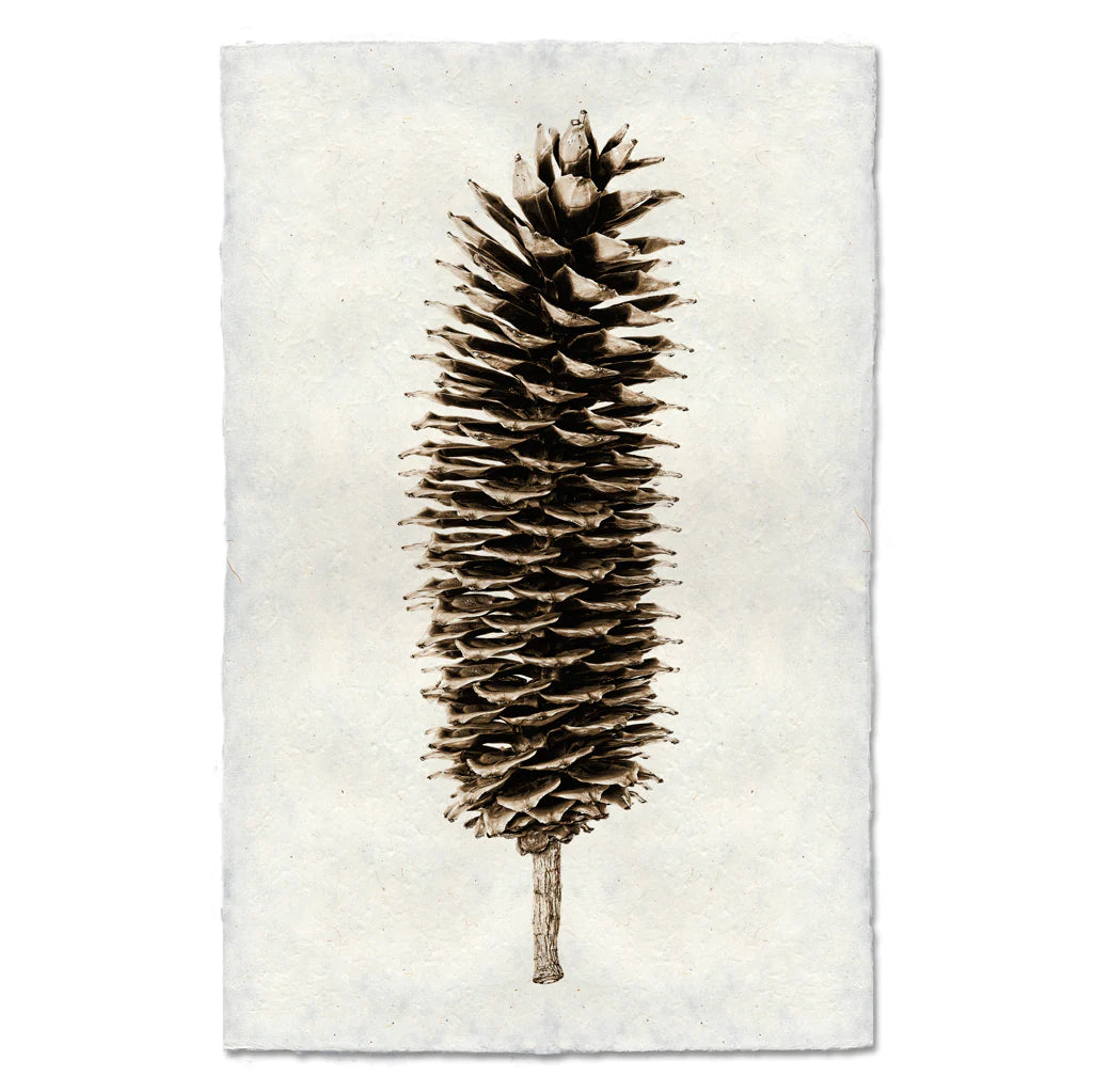 Pinecone Prints