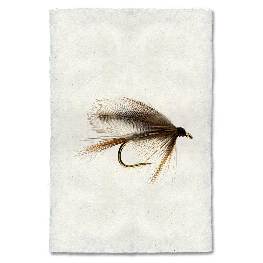 Fishing Fly Prints