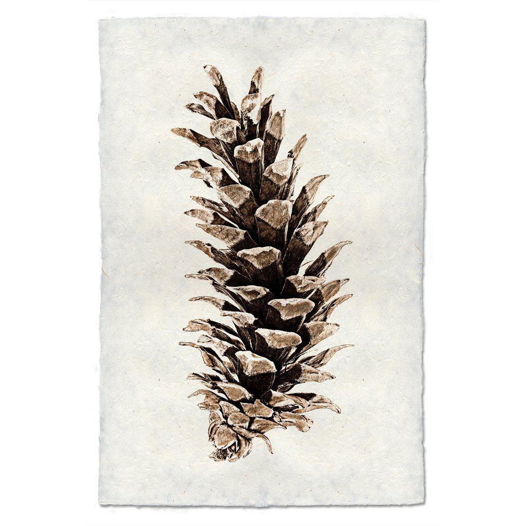 Pinecone Prints